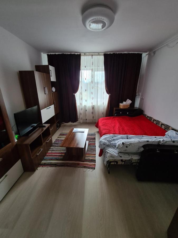 Vigaro Vgr Appartement Braşov Buitenkant foto